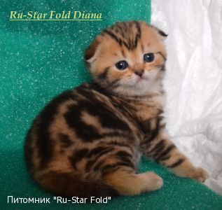 Ru-Star Fold Diana