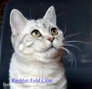 Ru-Star Fold Clim